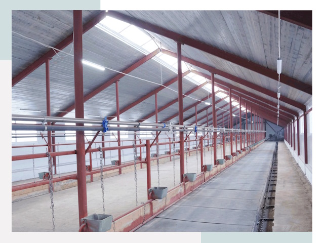 Строительство коровников в Изобильном от 623 руб.