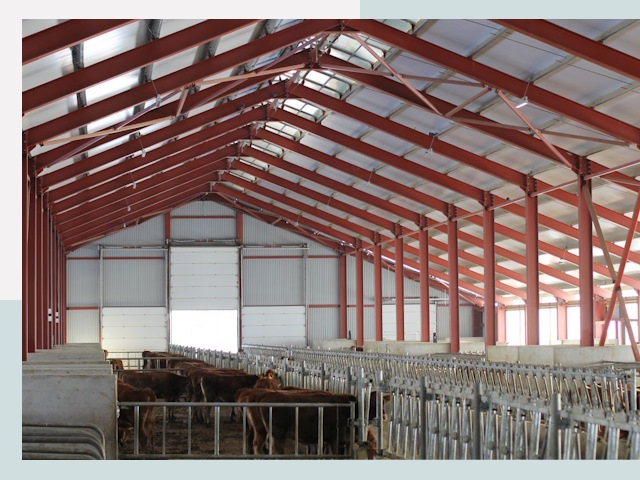 Строительство коровников в Изобильном