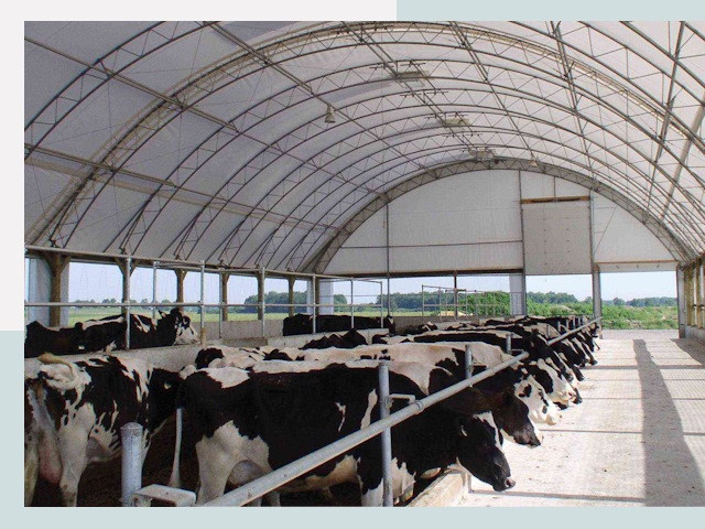 Тентовые коровники в Изобильном